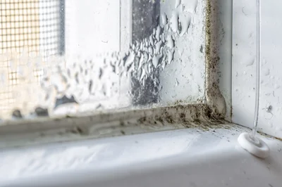 An untreated windowsill with mold residue buildup around the polymer sealant.